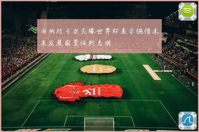 海纳对卡尔无缘世界杯表示惋惜未来发展前景依然光明